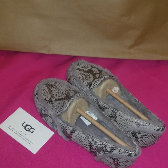 Slippers - Picture 7 of 8